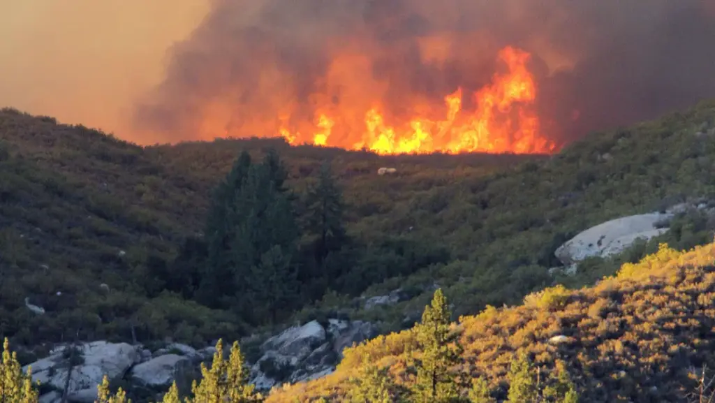 Climate Change Drives Extreme Weather Events