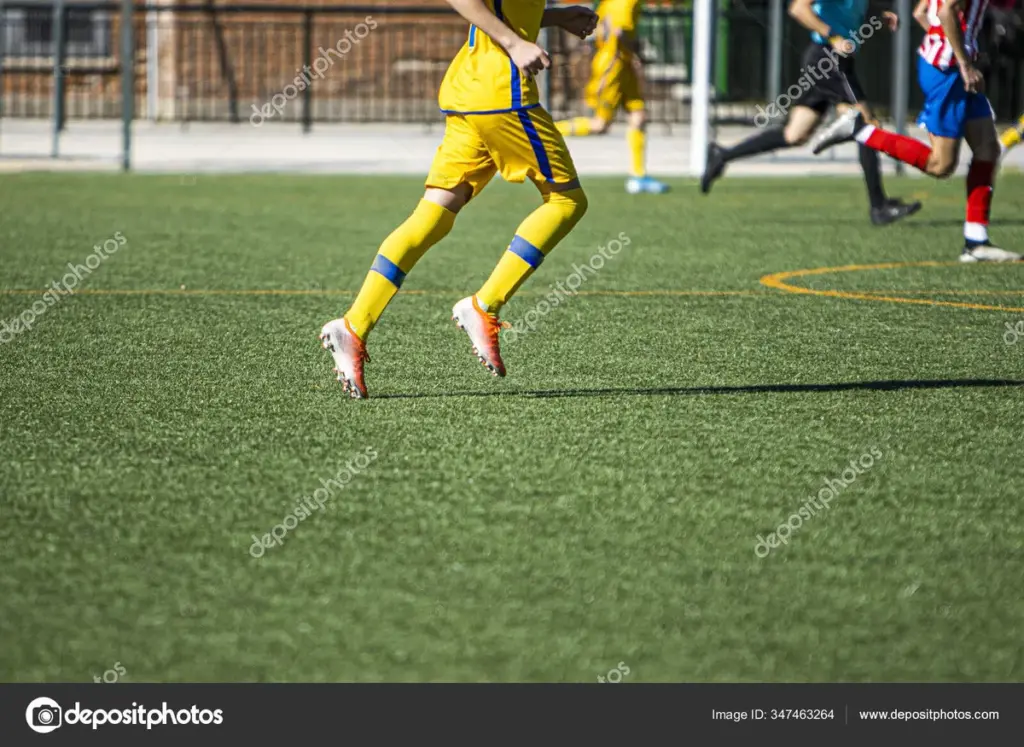 Playing Match: T20 Cricket Showdown on February 15, 2026