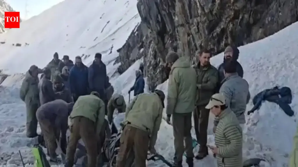 Zojila pass: Avalanche Hits : 7 Dead, 5 Injured