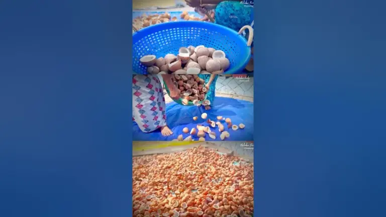 വെളിച്ചെണ്ണ: Coconut Oil Prices in Kerala Hit by Market Manipulation