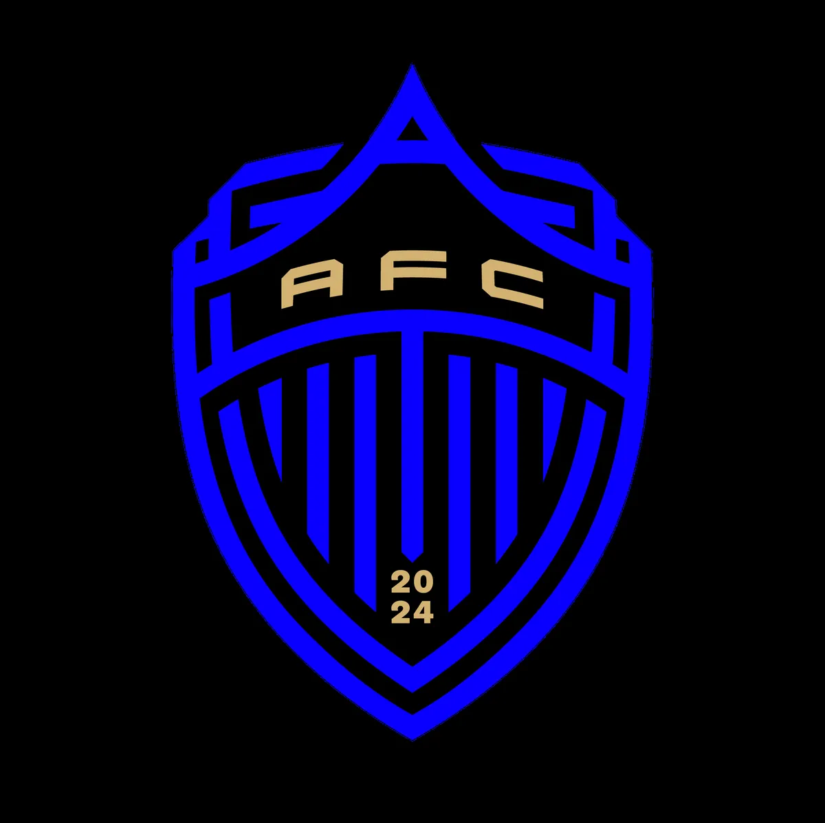 auckland fc vs melbourne city fc — IN news