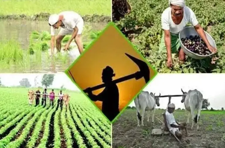 Agriculture Festival Celebrated Under Agricultural Minister’s Initiative