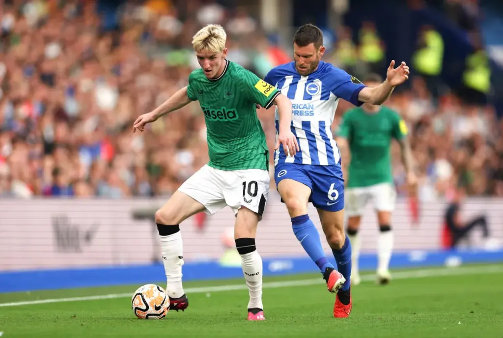Newcastle vs brighton